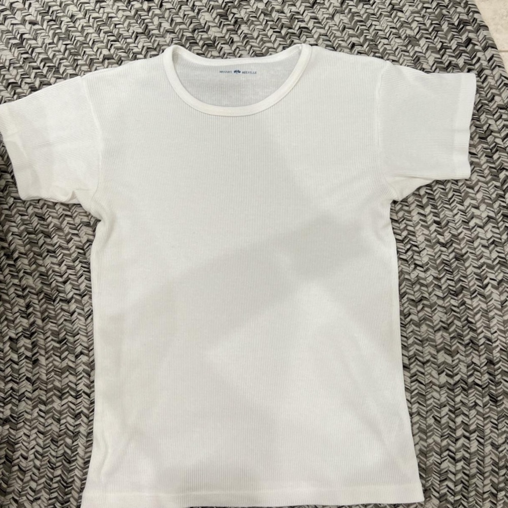 Brandy Melville basic white ribbed shirt.